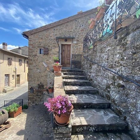 Panoramic Nest In Montalcino Villa Exterior photo